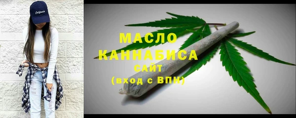 ECSTASY Бородино