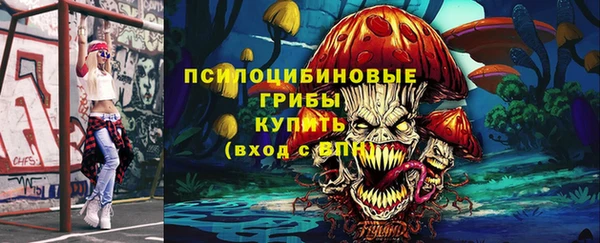 PSILOCYBIN Бронницы