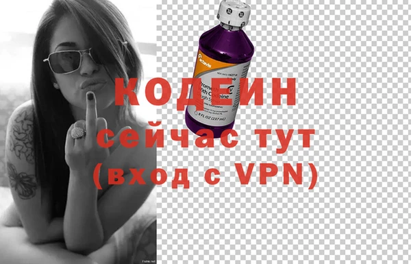 ECSTASY Бородино