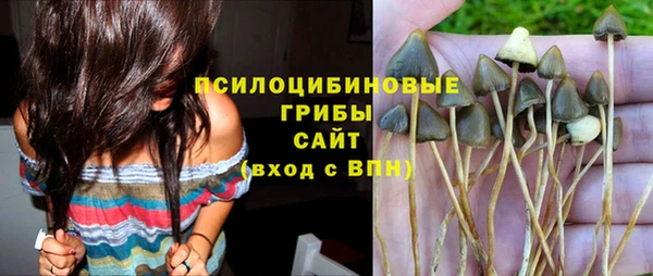 ECSTASY Бородино