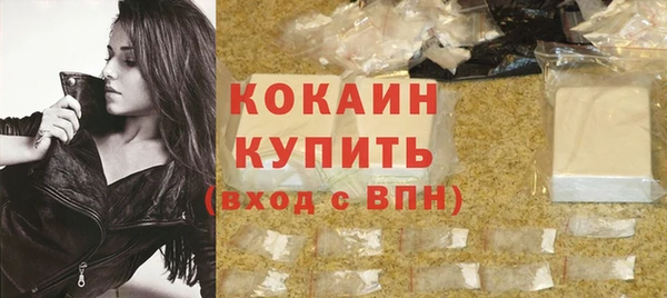 ECSTASY Бородино