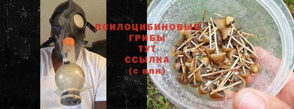 ECSTASY Бородино