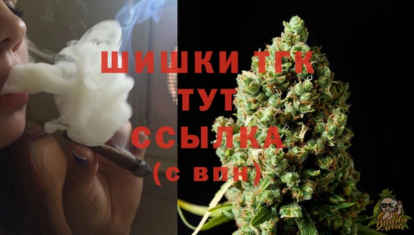 ECSTASY Бородино