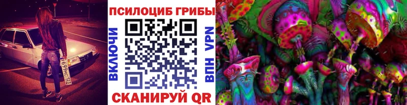 Псилоцибиновые грибы Psilocybe  Полтавская 